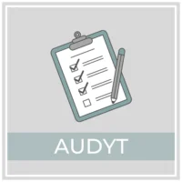 Audyt
