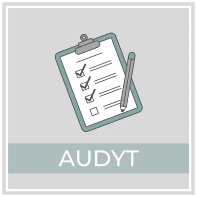 Audyt